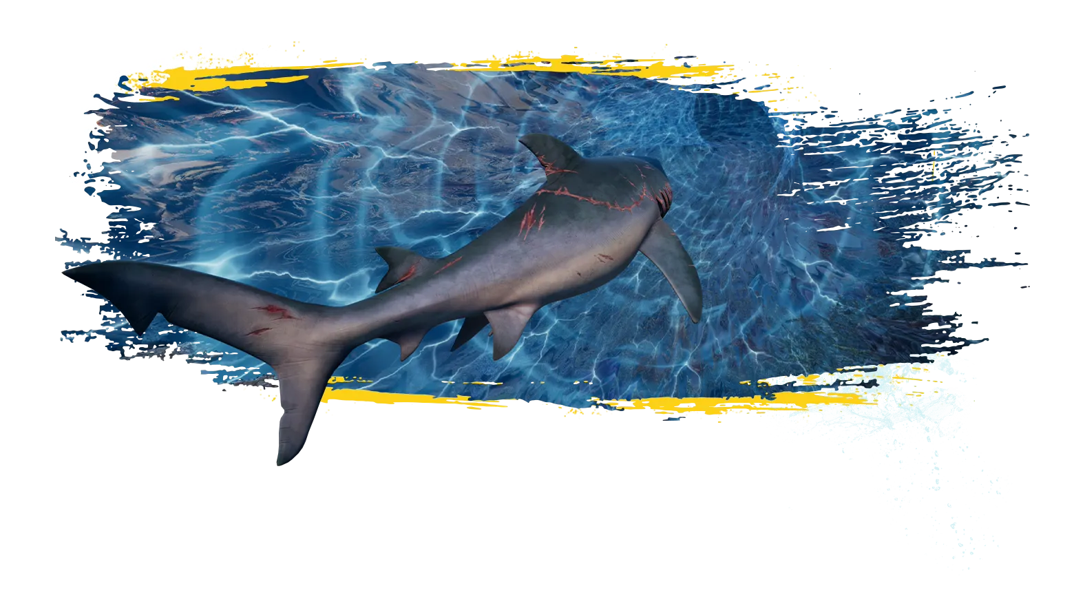 Maneater 2 se anuncia oficialmente para PS5, Xbox Series, Switch 2 y PC 3